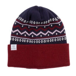 Coal The Fjord Beanie Neptune 2024