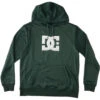 DC Men's Snowstar Hoodie Sycamore 2024