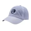 Fucking Awesome FA World Cap - Grey