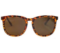 Sundays Luna - Brown Shiny Tortoise