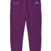 The North Face TNF Project X KAWS Sweatpant - Pamplona Purple
