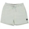 Vans Primary Volley II Short Green Mileu